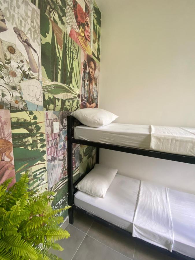 Sunflower Hostel 萨尔瓦多 外观 照片