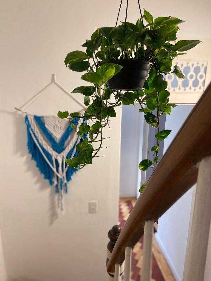 Sunflower Hostel 萨尔瓦多 外观 照片